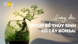 Hướng dẫn setup bể thủy sinh mini và cây bonsai (How to setup aquarium mini bonsai)