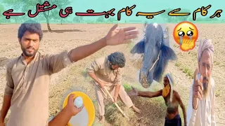 ہر کام سے یہ کام بہت ہی مشقل ہے !😲sraiki vilog