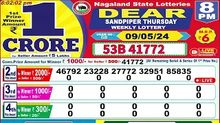 Lottery Sambad Live 8PM Dear Nagaland State Lottery Live draw result 09.05.2024 |Lotterysambad