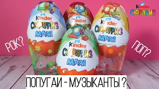 Kinder MAXI ВЕСНА Сюрприз | Новинка 2019 | Киндер Surprise Попугаи