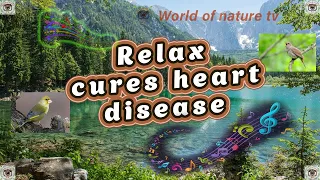 Soothing music relax cures heart diseases and is good for blood vessels | Music is good for the soul