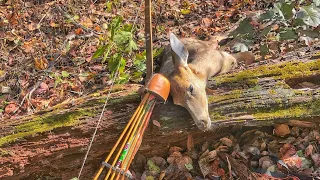 Trophy- A traditional bowhunting Film-Spot and Stalk traditional bowhunting!!