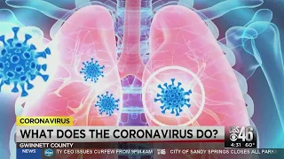 What exactly does the coronavirus do to the lungs?