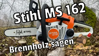 Stihl MS 162 | Brennholz Sägen 🪚🪓🪵