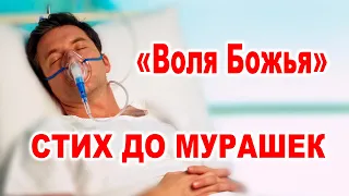 ОЧЕНЬ ТРОГАТЕЛЬНЫЙ СТИХ! С ДОБРЫМ УТРОМ! ДОБРОЕ УТРЕЧКО ХОРОШЕГО ДНЯ! Ольга Май