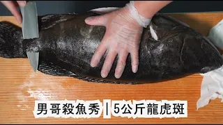【男哥殺魚秀】5公斤龍虎斑切成清肉｜Fillet 5kg up Pearl Grouper. Donggang Nan｜5kgのドラゴンタビー