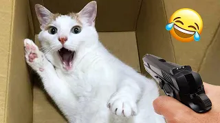 Funniest Animals 😄😄 New Funny Cats and Dogs Videos 😹🐶 Part 10