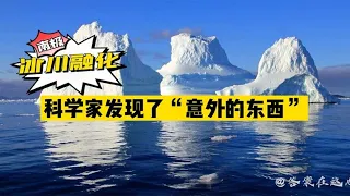 南极冰川融化，科学家发现了“意外的东西”，问题有多严重？