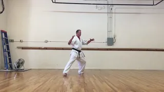 Seienchin Kata Kyokushin Kan