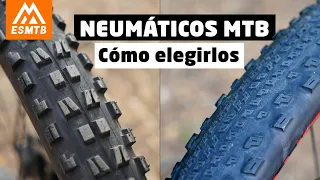Neumáticos de MTB, todo lo que necesitas saber