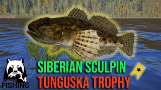 Siberian Sculpin Trophy at Lower Tunguska River - Russian Fishing 4 #rf4