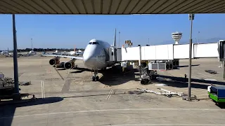 Полёт Анталья - Екатеринбург (Кольцово) на Boeing 747 авиакомпании Россия