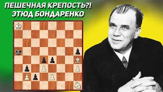 Пешечная крепость?! Шахматный этюд. Филипп Бондаренко и Александр Каковин. Конкурс памяти В. Платова