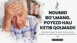 Noumid boʻlmang. Poyezd hali ketib qolmadi!