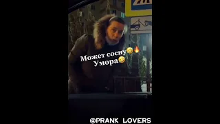 Может сосну