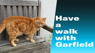 Have a walk with Garfield