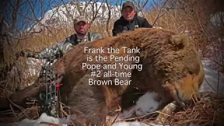 WORLD RECORD #2 BROWN BEAR 12 Yards