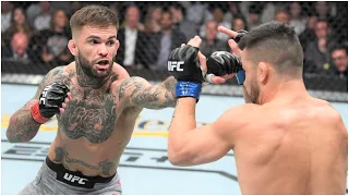 UFC 250 Raphael Assuncao vs Cody Garbrandt