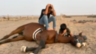 تحصينات وعلاجات الخيل(للفائده)🐎👌🏻||وقوف بتال على سمحه😍👏🏻