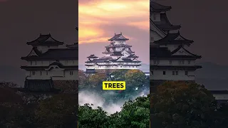 Japan's Most Beautiful Castle