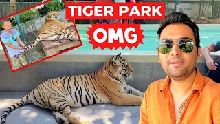 What Happened OMG Tiger Park in Pattaya Thailand 🇹🇭