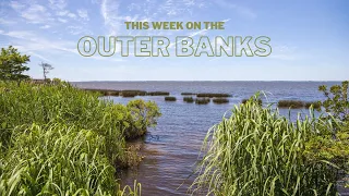 This Week on the Outer Banks: North Carolina Coastal Reserve | 9/2/22