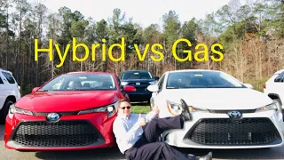 2020 Corolla Hybrid LE vs 2020 Corolla LE: You decide who wins!