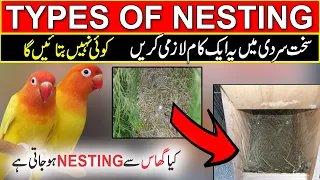 How to make nest for love birds | best nesting material for love birds | types of nesting