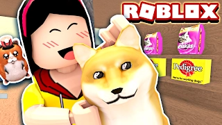 Adopting a Crazy Doge!! He's so CRAY! - Roblox Pet Shop Tycoon Mini Game - DOLLASTIC PLAYS!