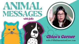 Animal Messages with Julie! - Types of Dog Barks and What They Mean