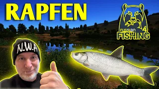 Russian Fishing 4 | Rapfen Spot Sura | RF4 | 030