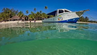 SCUBA DIVING in DIANI, KENYA - BEST BEACH IN AFRICA (Part One)