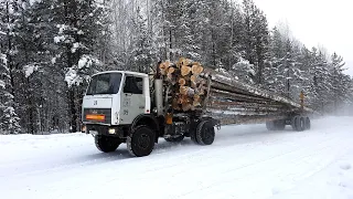 Вывозка леса в хлыстах. МАЗы-5434. Томская область, Верхнекетский район.