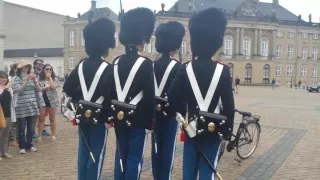 Bicycles Stop the Danish Changing of the Guard