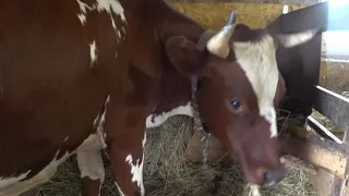 Был врач . Делаем выводы .