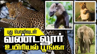 Vandalur Zoo 2022 | வண்டலூர் உயிரியல் பூங்கா | Arignar Anna Zoological Park | Place to Visit