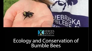 Ecology and Conservation of Bumble Bees