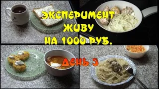 ЭКСПЕРИМЕНТ. ЖИВУ НА 1000 РУБЛЕЙ . ДЕНЬ 3. Щи/Спагетти с курицей/НОЯБРЬ 2022