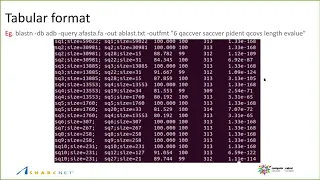 Bioinformatics in the terminal: Tips and tricks to make your life easier