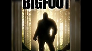 discovering Bigfoot