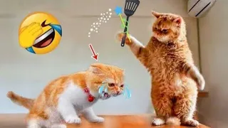 Challenge 😂 Can You Watch Without Laughing? Funny Cat and Dog Moments 😹 #8