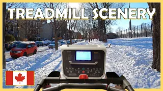 Treadmill Workout Scenery | Virtual Running Videos | 1 Hour Virtual Run | Montreal Plateau