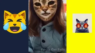 😂Funny Cat 😻 And Other Funny Animals 🐶🦊🐹🐮🙉 Compilation | Funny Cat Fails 🐵🙈🙉🙊 | funny cats 2020 |