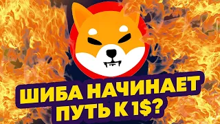 КАК СТАТЬ МИЛЛИОНЕРОМ С ШИБА ИНУ? ЗАРАБОТОК НА КРИПТОВАЛЮТЕ! Новости и аналитика криптовалюта SHIBA!