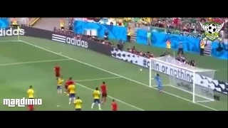 Mundial Brasil 2014 | Mejores Atajadas | Best Saves || HD ||