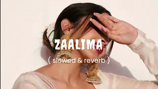 Zaalima ( slowed & reverb ) ||@dezithingzz