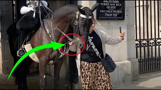 Ignorance tourist, she grabs the reins twice!!
