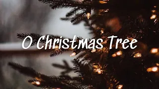 O Christmas Tree ( Lyrics)