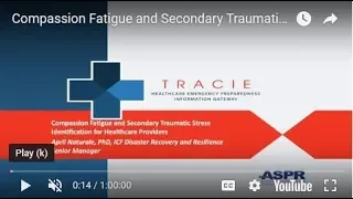 Compassion Fatigue and Secondary Traumatic Stress Identification for Healthcare Providers