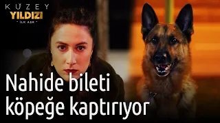 Kuzey Yıldızı İlk Aşk 46. Bölüm - Nahide Bileti Köpeğe Kaptırıyor